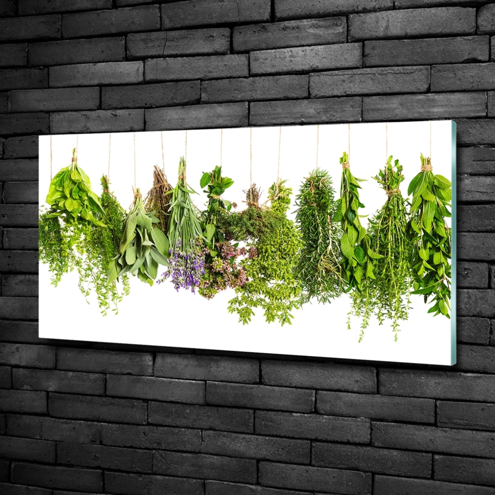 Tableau photo sur verre Herbes sur une ficelle