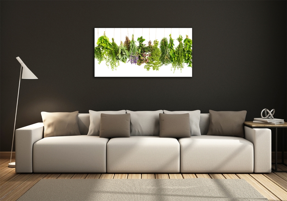 Tableau photo sur verre Herbes sur une ficelle