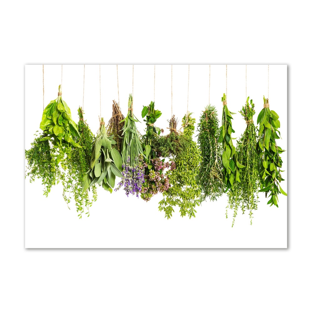 Tableau photo sur verre Herbes sur une ficelle