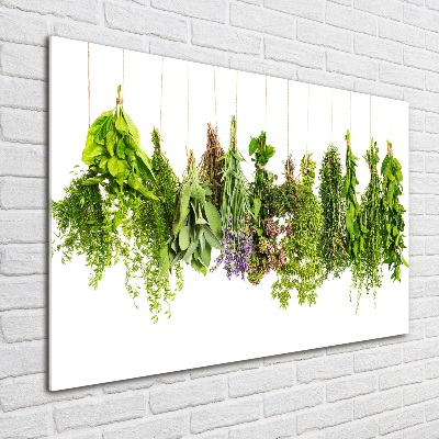 Tableau photo sur verre Herbes sur une ficelle