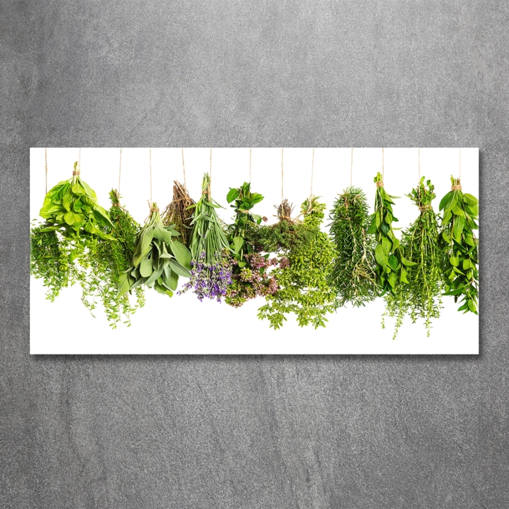 Tableau photo sur verre Herbes sur une ficelle