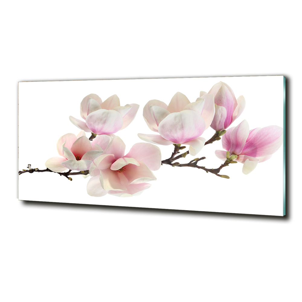 Tableau sur verre Magnolia