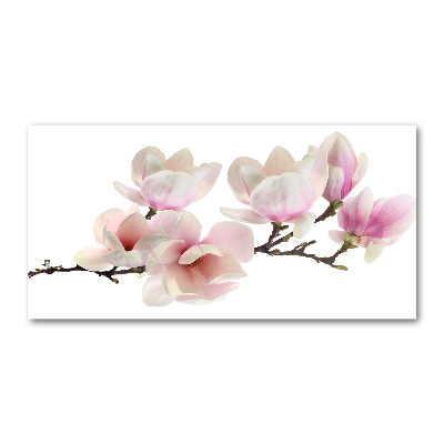 Tableau sur verre Magnolia