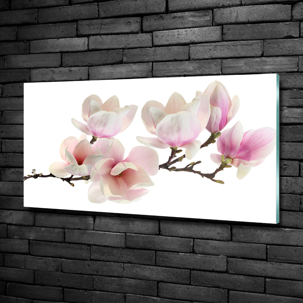 Tableau sur verre Magnolia