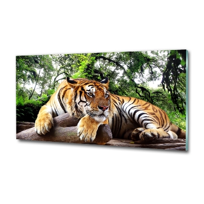 Tableau photo sur verre Tigre sur un rocher