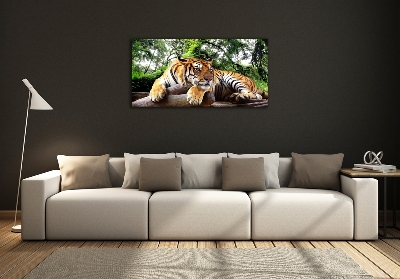 Tableau photo sur verre Tigre sur un rocher