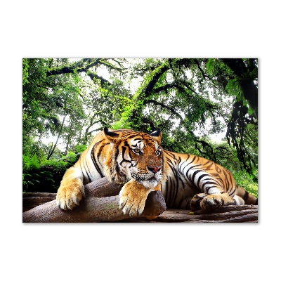 Tableau photo sur verre Tigre sur un rocher