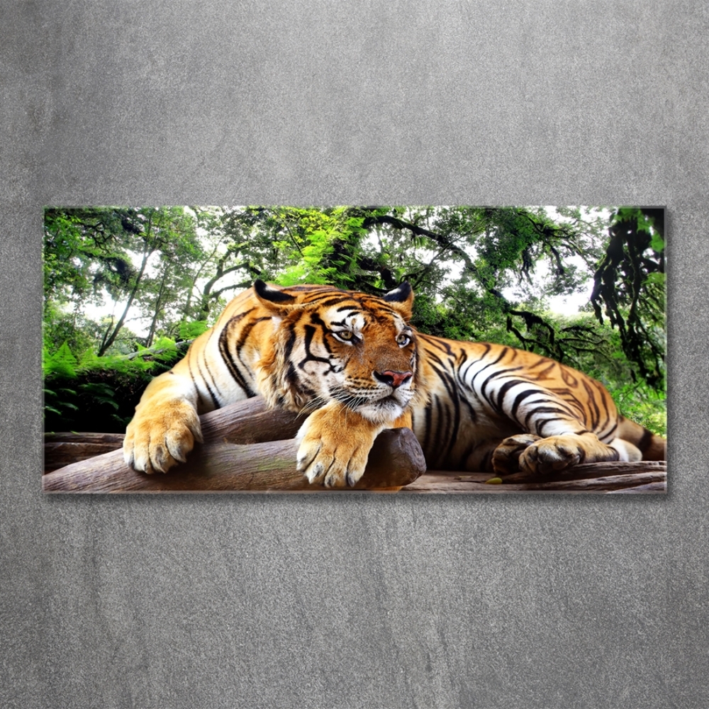 Tableau photo sur verre Tigre sur un rocher