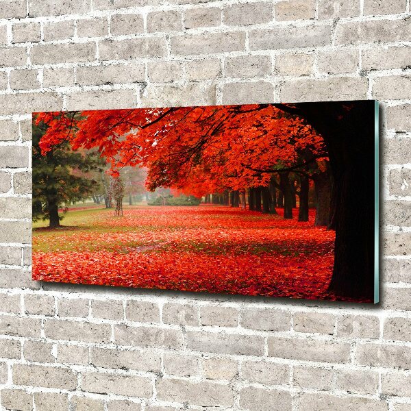 Tableau sur verre Arbres en automne