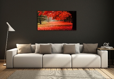 Tableau sur verre Arbres en automne