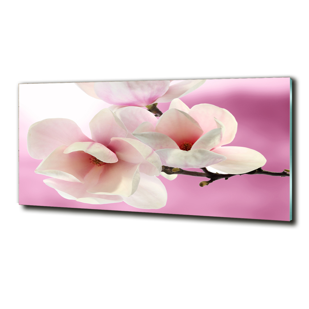 Tableau imprimé sur verre Magnolia