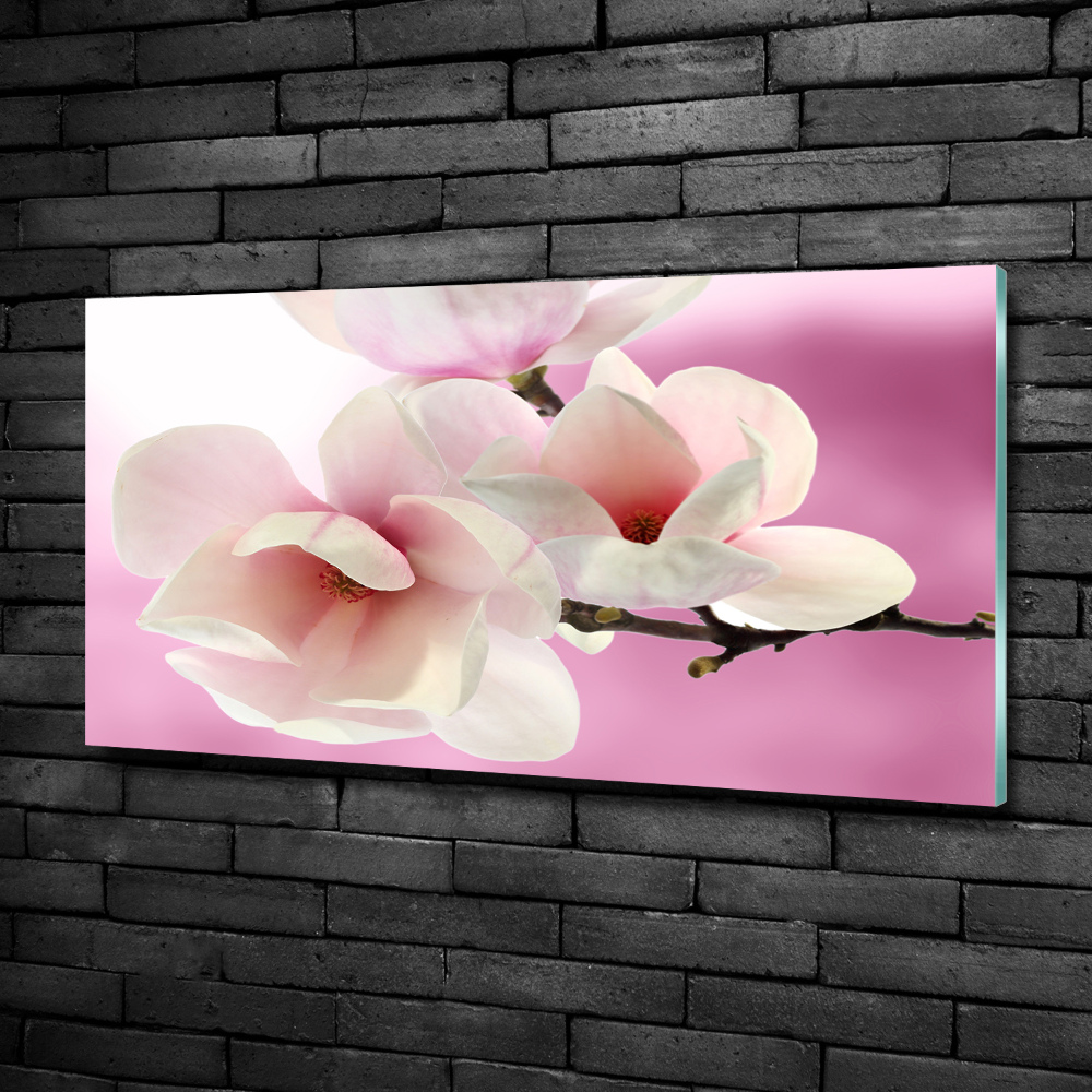 Tableau imprimé sur verre Magnolia