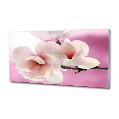 Tableau imprimé sur verre Magnolia