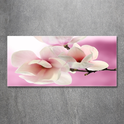 Tableau imprimé sur verre Magnolia