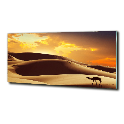 Tableau sur verre Chameau du Sahara