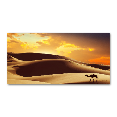 Tableau sur verre Chameau du Sahara