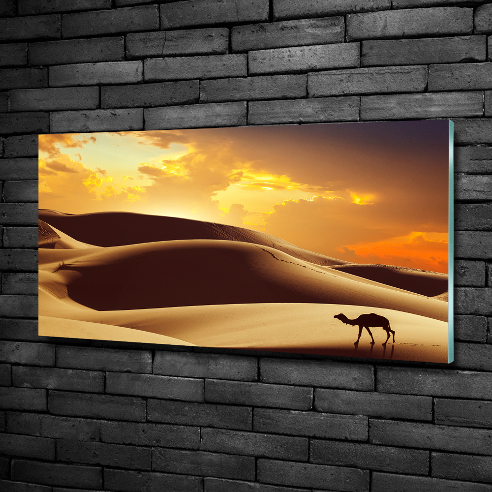 Tableau sur verre Chameau du Sahara