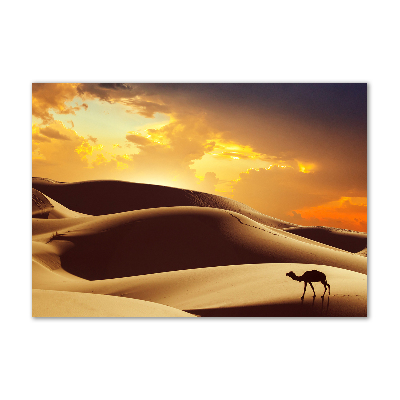 Tableau sur verre Chameau du Sahara