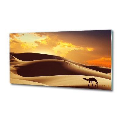 Tableau sur verre Chameau du Sahara