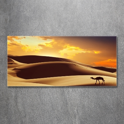 Tableau sur verre Chameau du Sahara