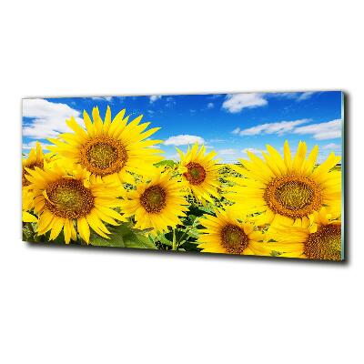 Tableau photo sur verre Tournesol