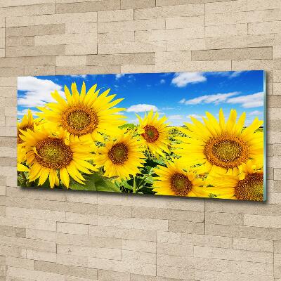 Tableau photo sur verre Tournesol