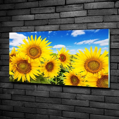 Tableau photo sur verre Tournesol