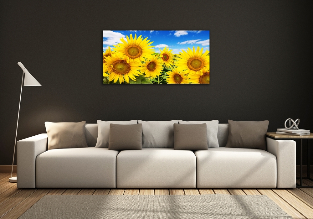 Tableau photo sur verre Tournesol