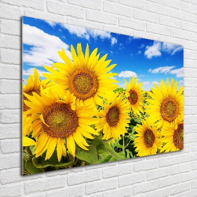 Tableau photo sur verre Tournesol