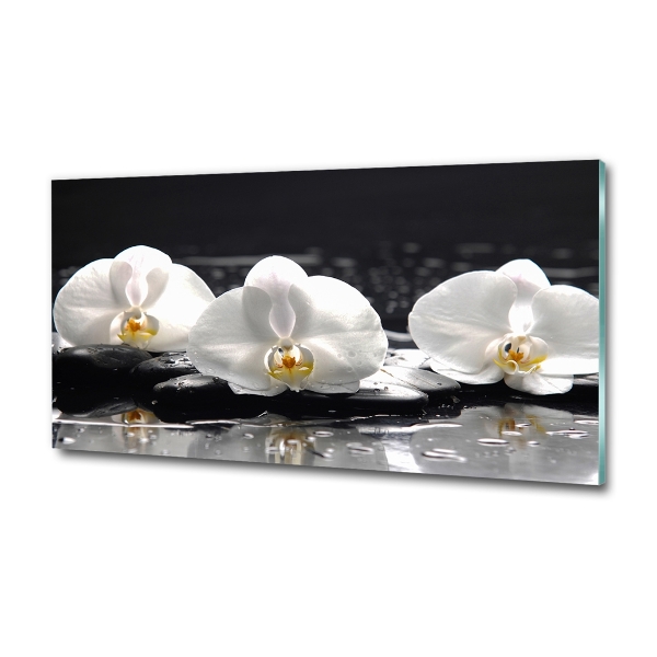 Tableau sur verre Orchidée