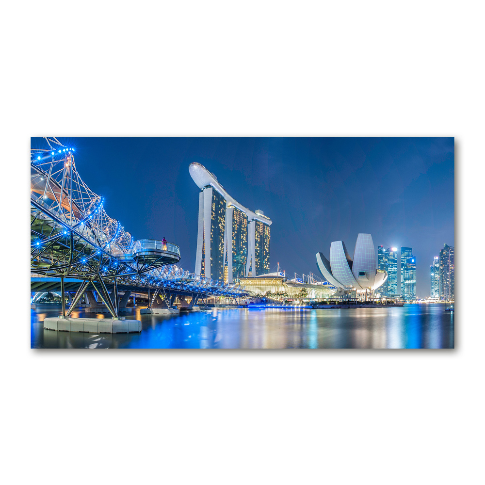 Tableau imprimé sur verre Singapour de nuit