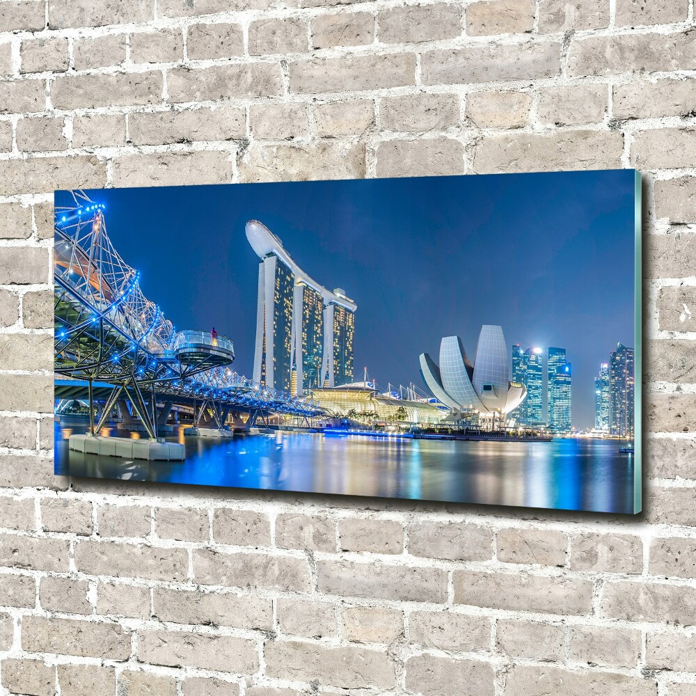 Tableau imprimé sur verre Singapour de nuit