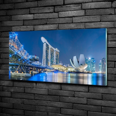 Tableau imprimé sur verre Singapour de nuit