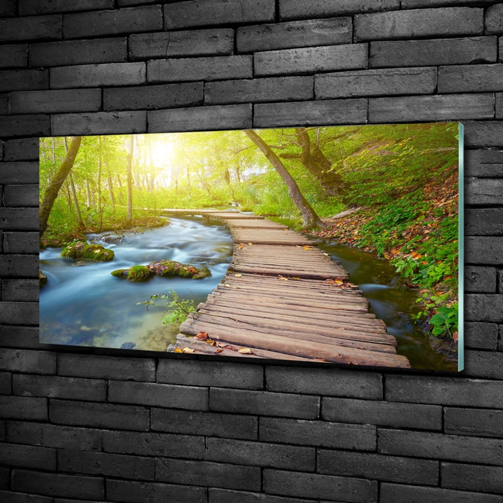 Tableau sur verre Sentier dans la forêt