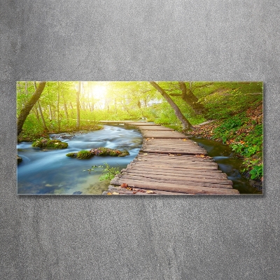 Tableau sur verre Sentier dans la forêt