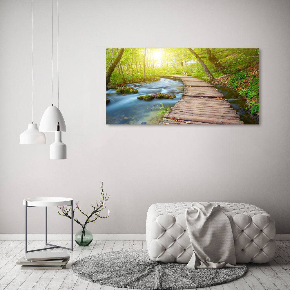 Tableau sur verre Sentier dans la forêt