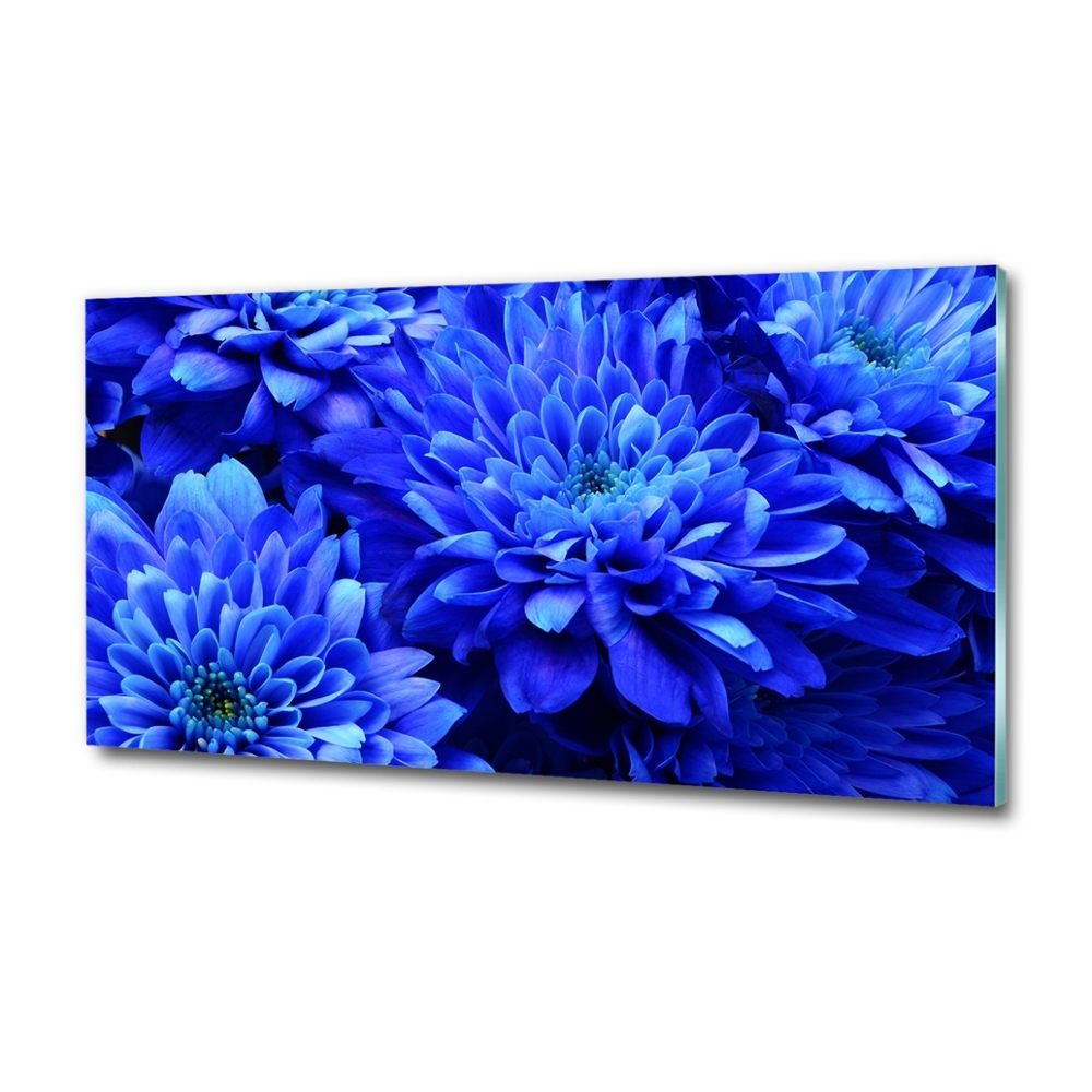 Tableau imprimé sur verre Aster bleu