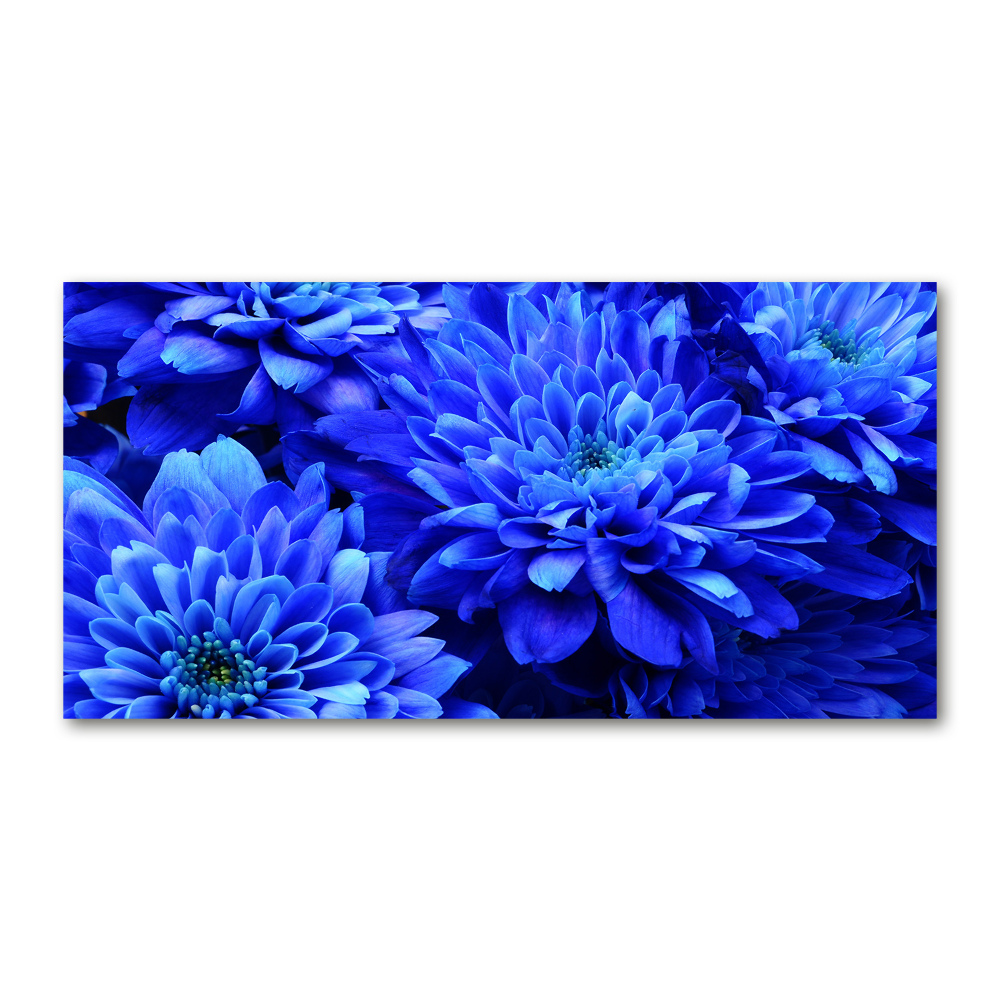 Tableau imprimé sur verre Aster bleu