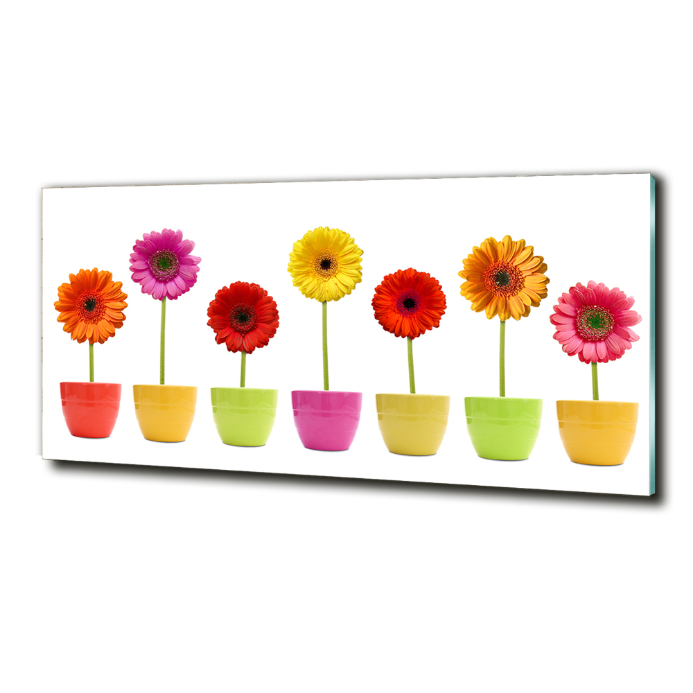 Tableau sur verre Gerberas colorés