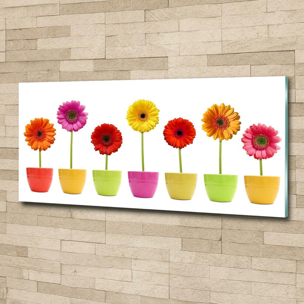 Tableau sur verre Gerberas colorés