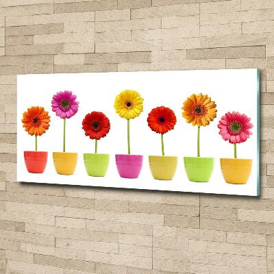 Tableau sur verre Gerberas colorés