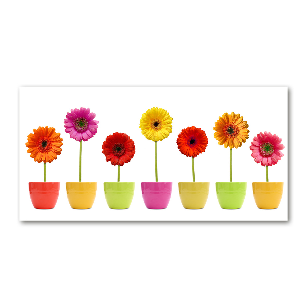 Tableau sur verre Gerberas colorés