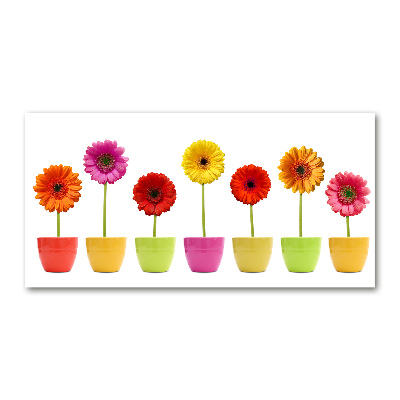 Tableau sur verre Gerberas colorés