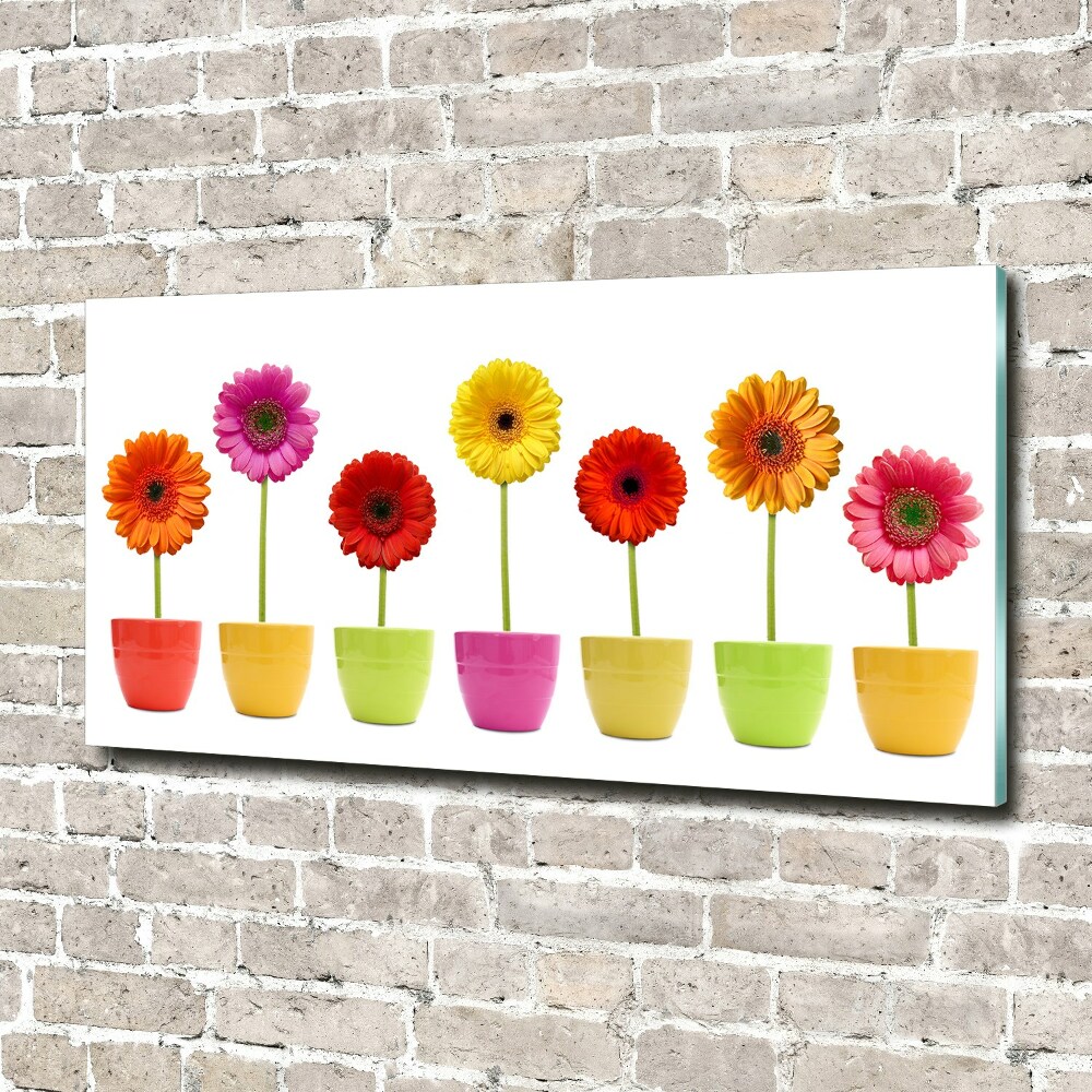 Tableau sur verre Gerberas colorés