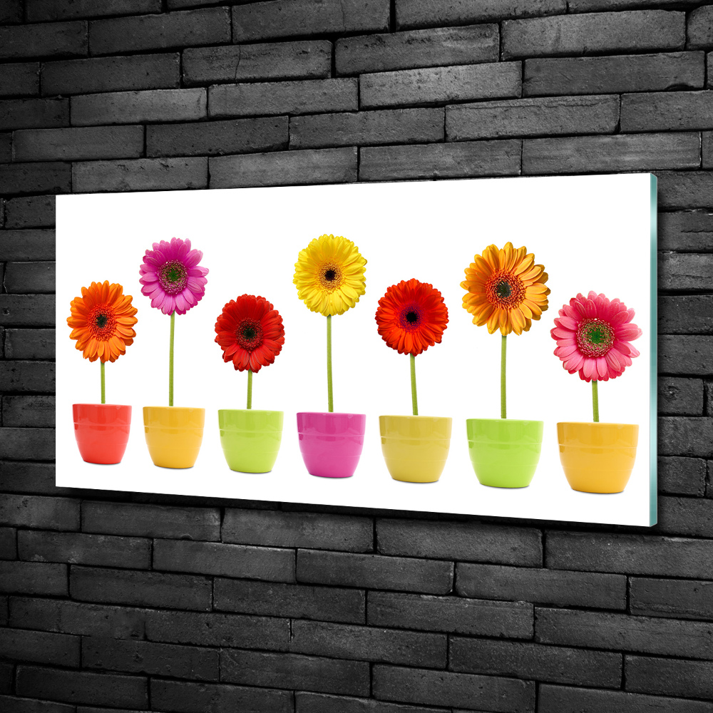 Tableau sur verre Gerberas colorés