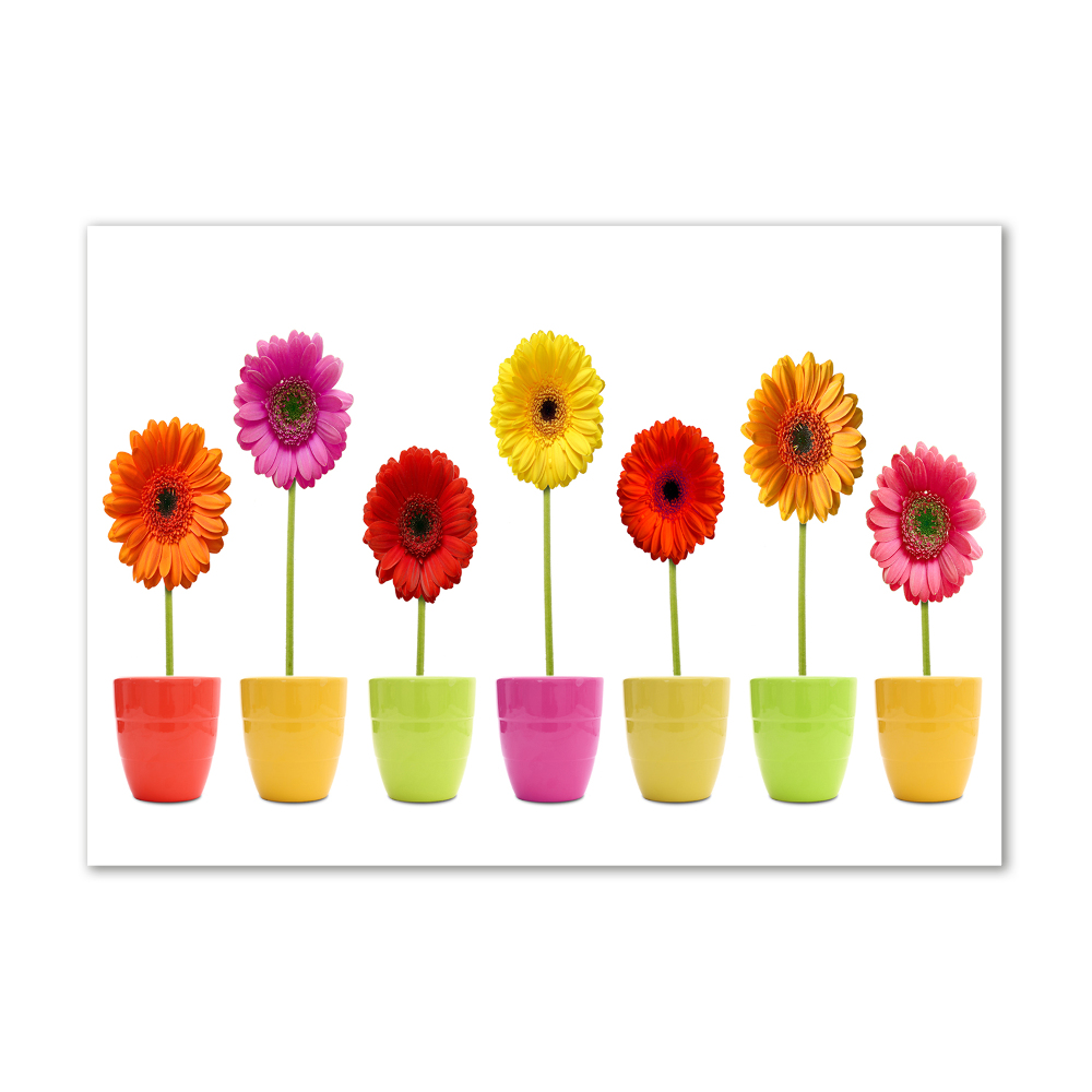 Tableau sur verre Gerberas colorés