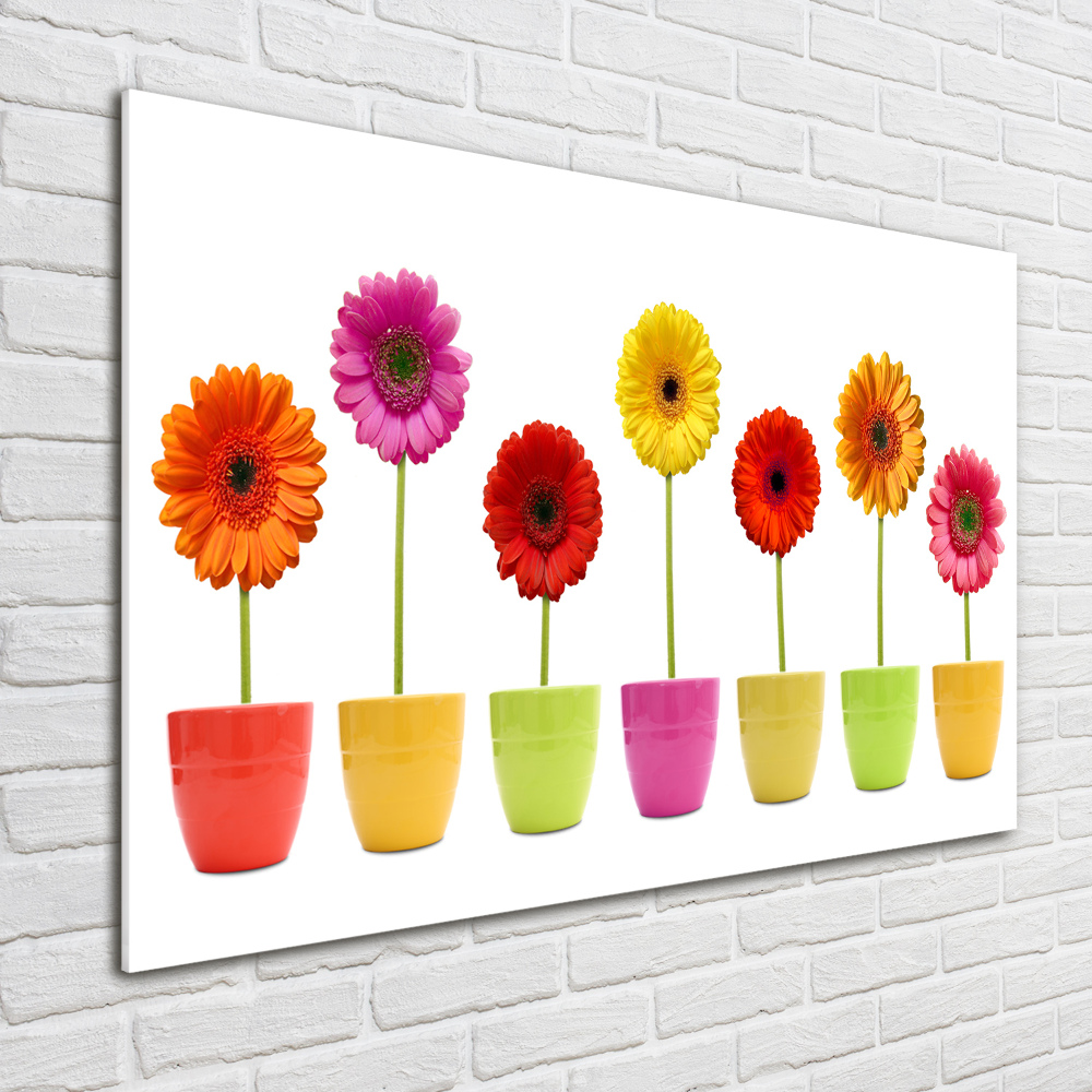 Tableau sur verre Gerberas colorés