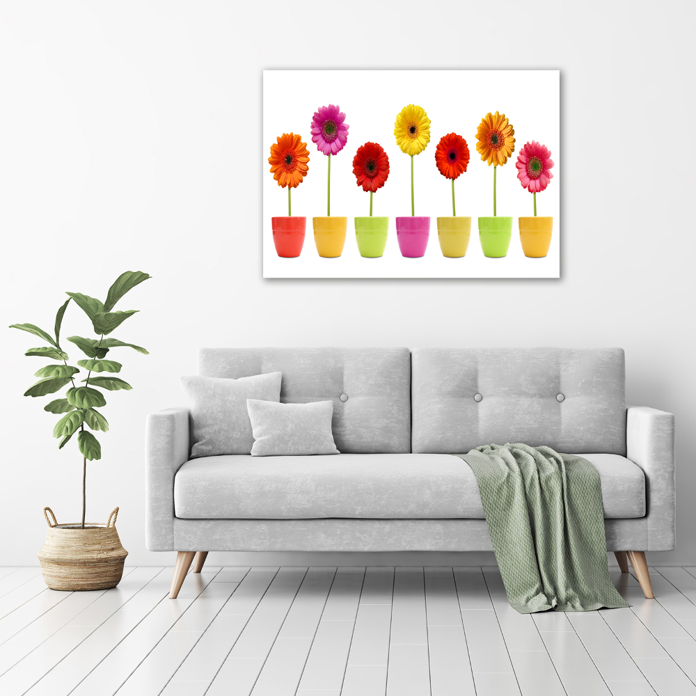 Tableau sur verre Gerberas colorés