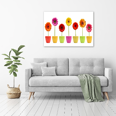 Tableau sur verre Gerberas colorés