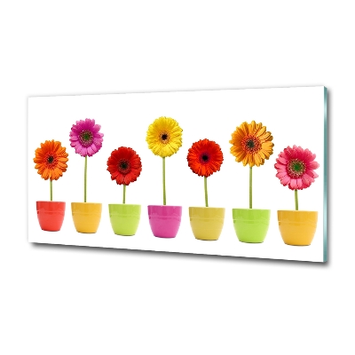 Tableau sur verre Gerberas colorés